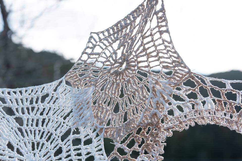 53623364_1513715492092565_4452725125569052672_n