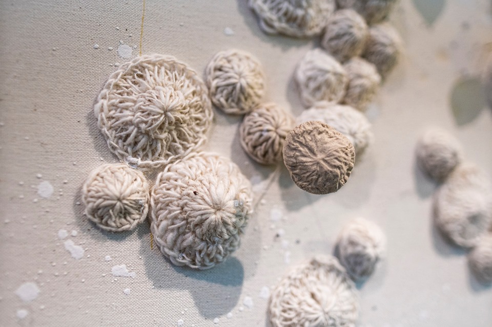 78112149_2561303930765340_8941126354032656384_n