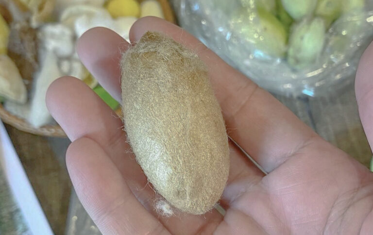 2db6ff9d Af47 44ad B0c4 3c724c003d0a 1